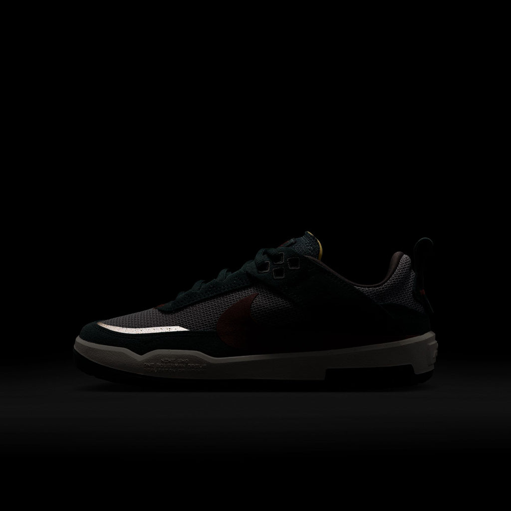 Nike SB Day One Big Kid's Skate Shoes - Seaweed/Red Sepia
