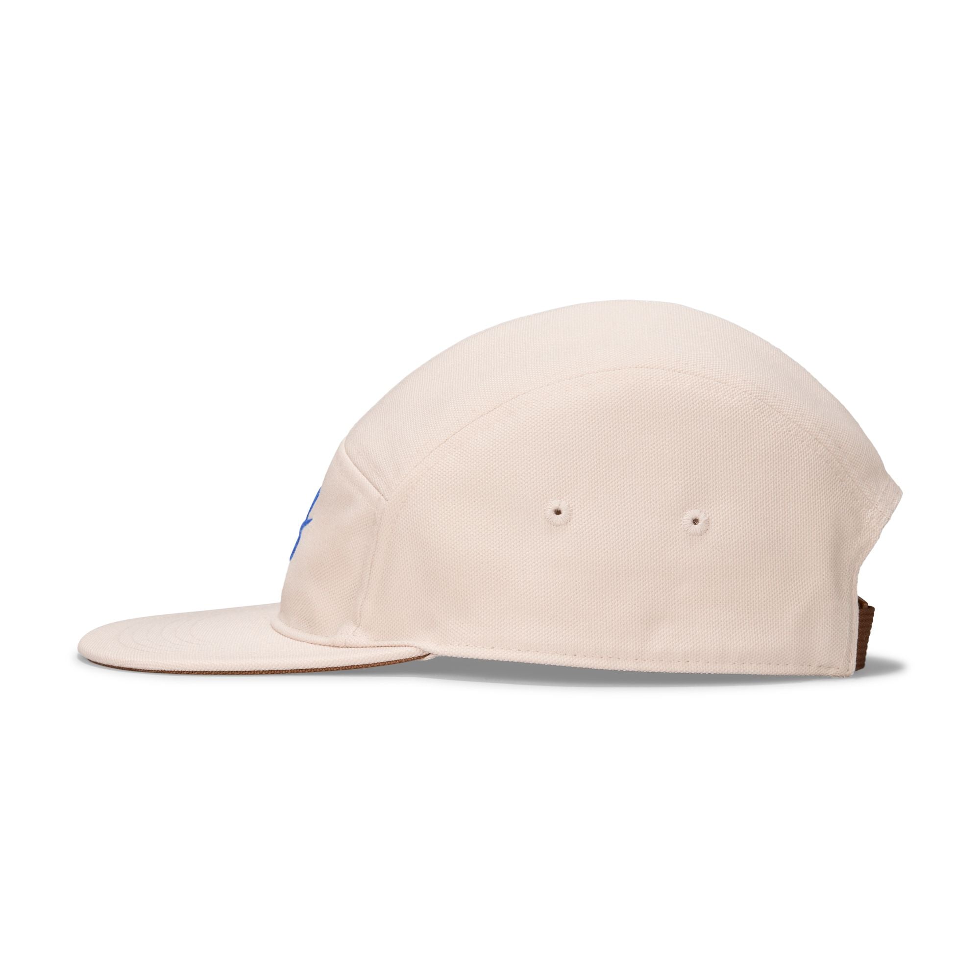 Nike SB Fly Cap