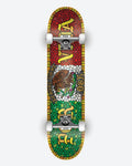 DGK Siempre Firme Holographic Complete