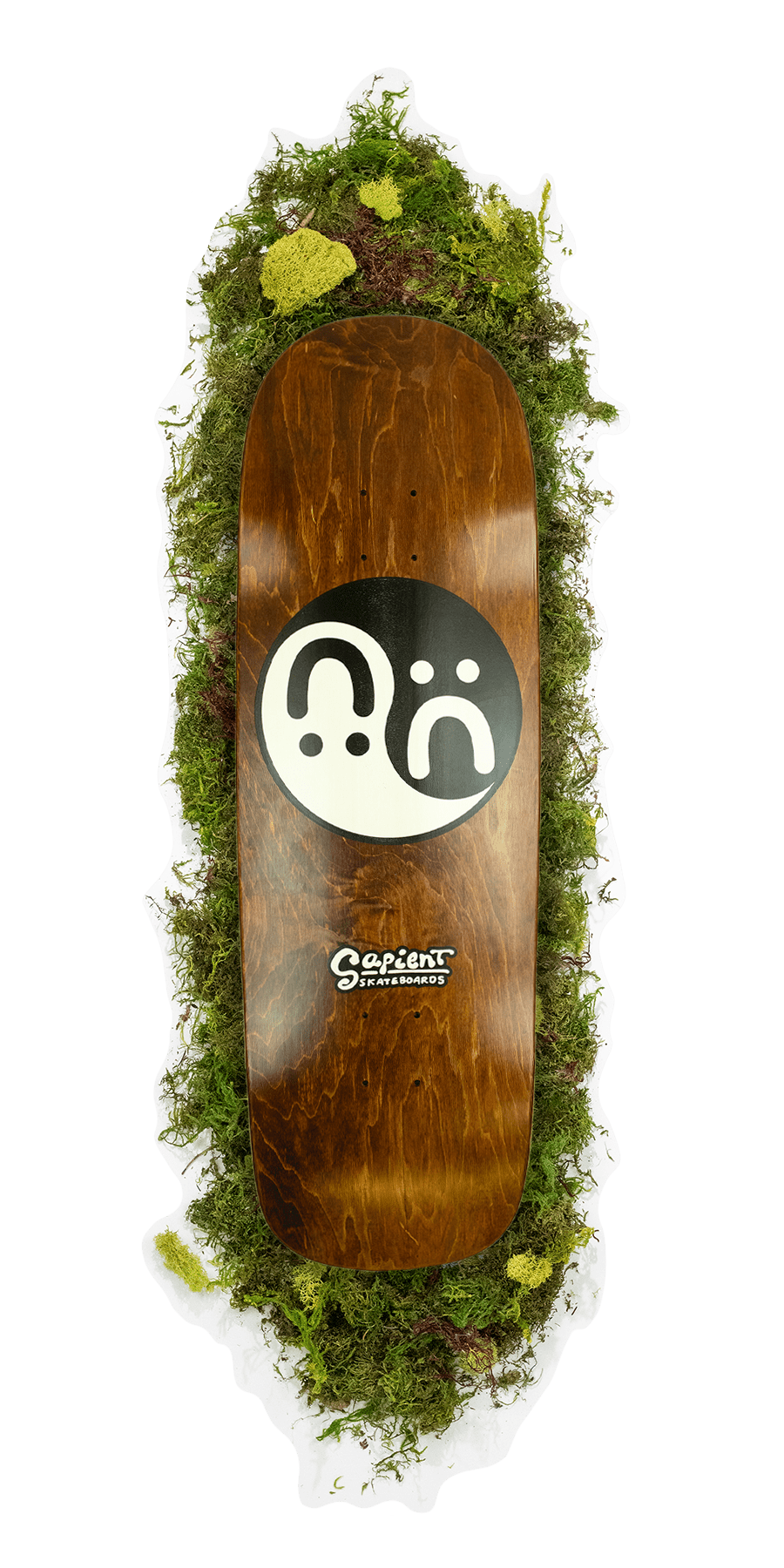 Sapient G Deck