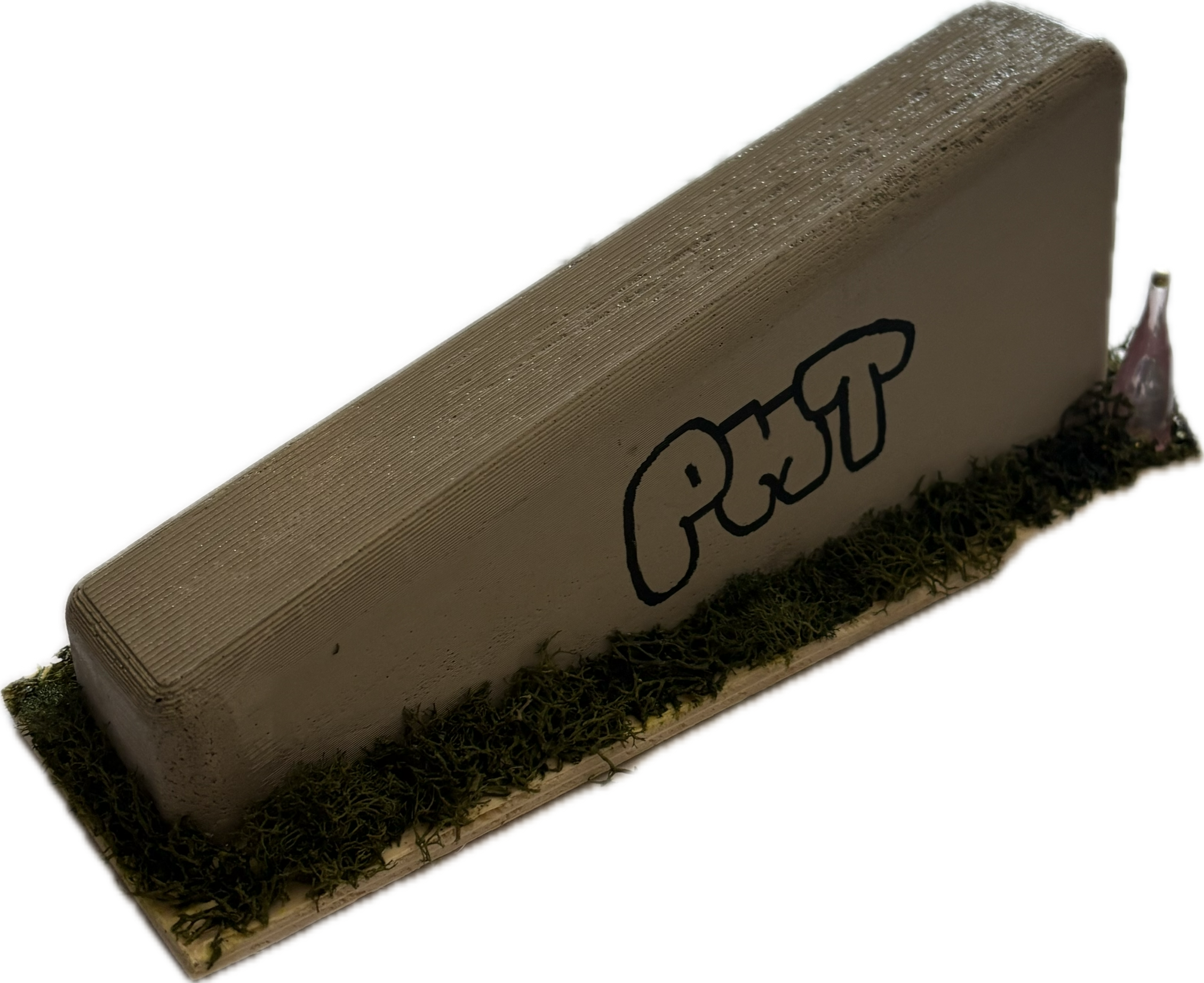 PMT Fingerboard Hubba