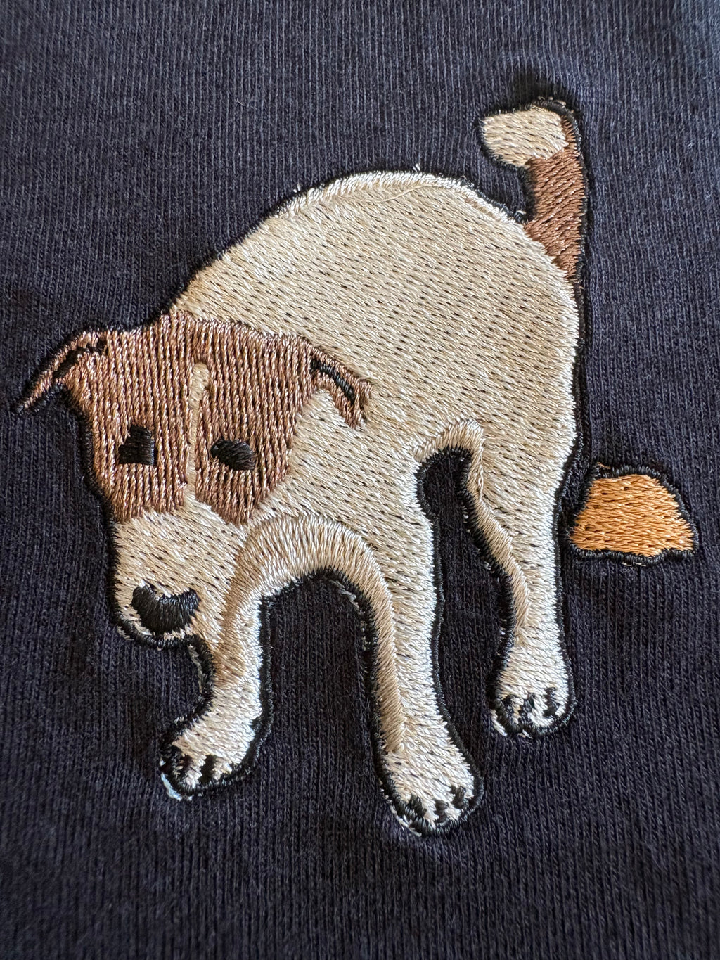 Since Skateboards Dog Poo T-Shirt