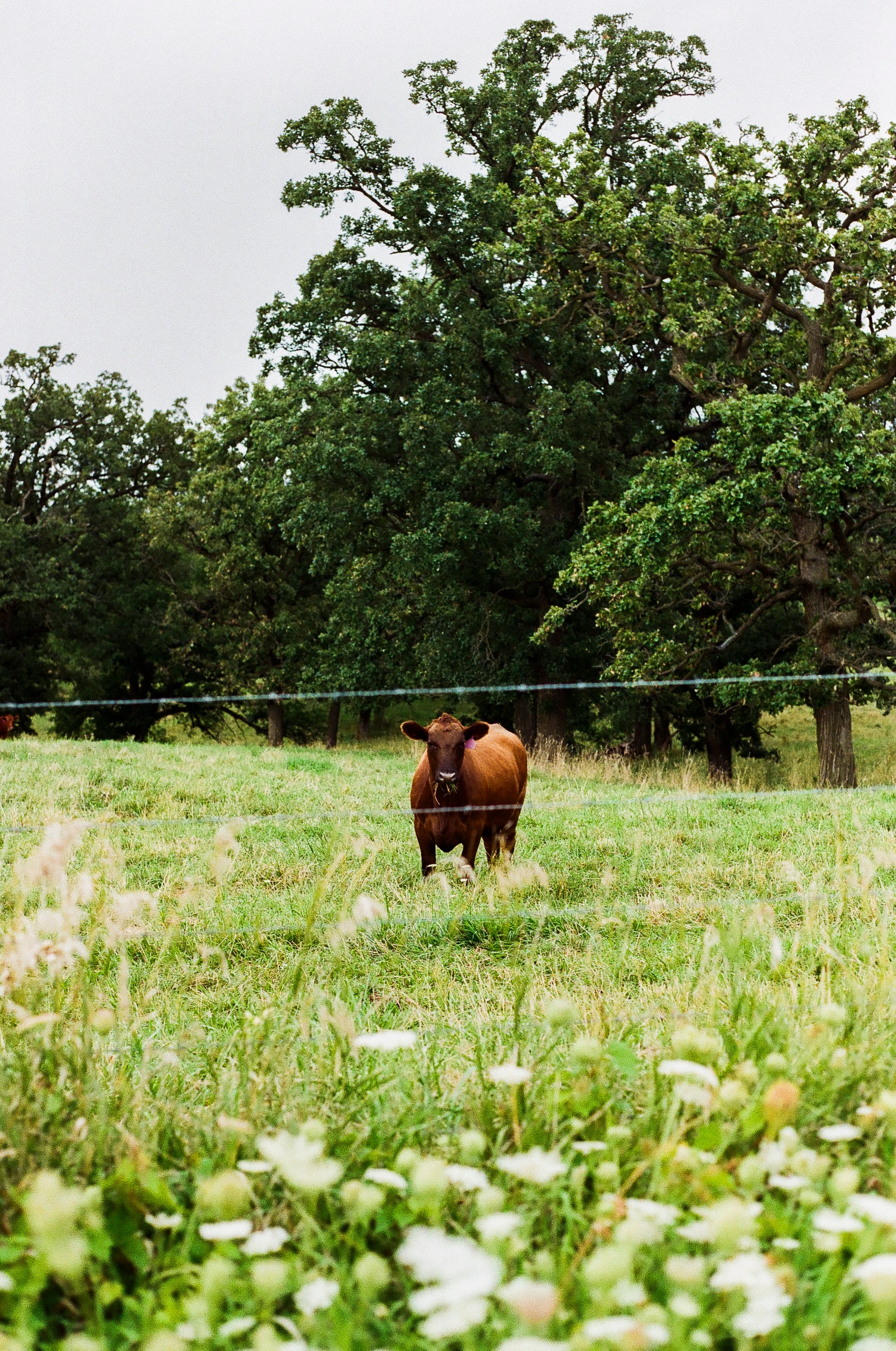 Photos By Nick Hanson