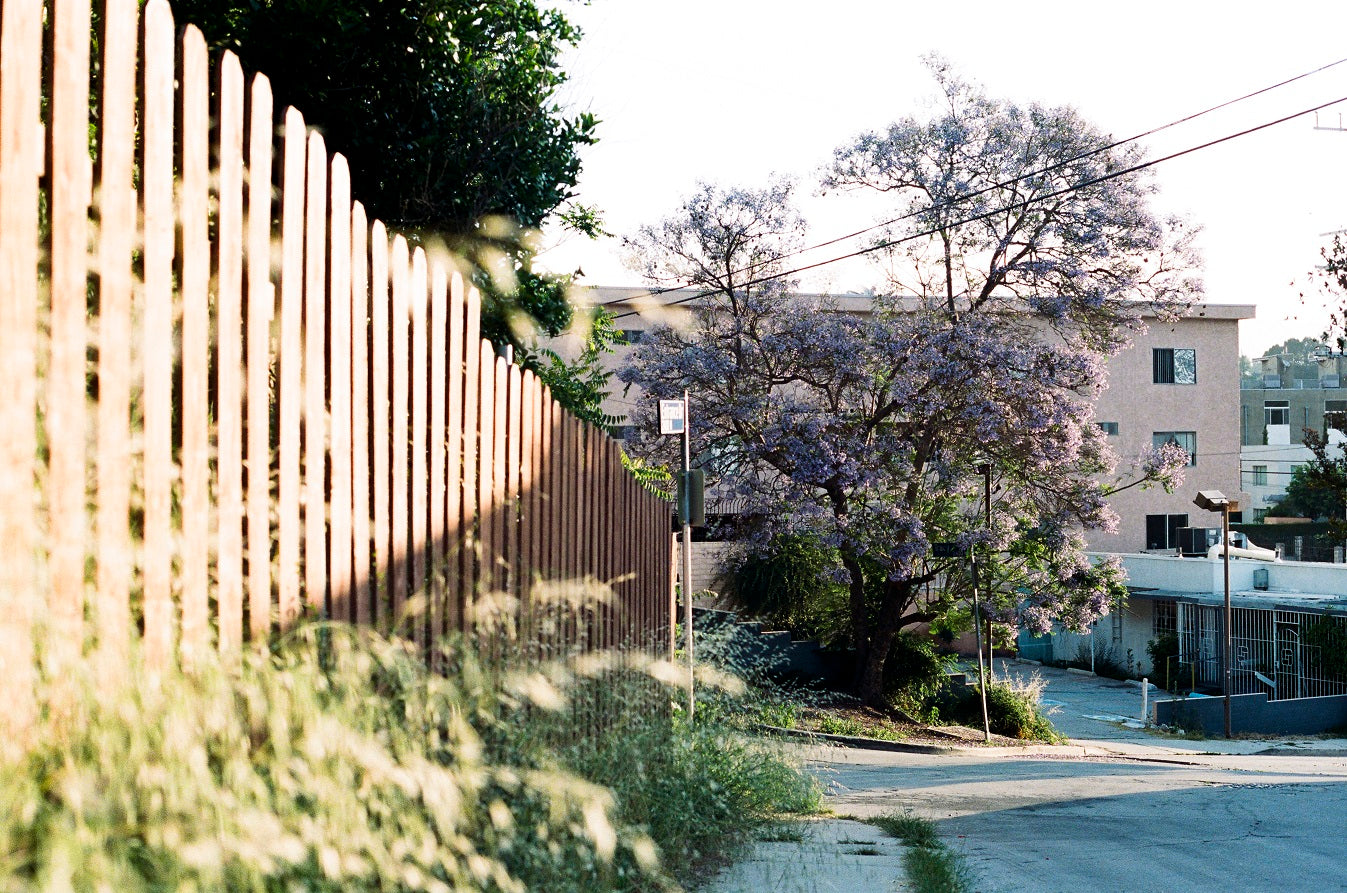 Photos By Nick Hanson