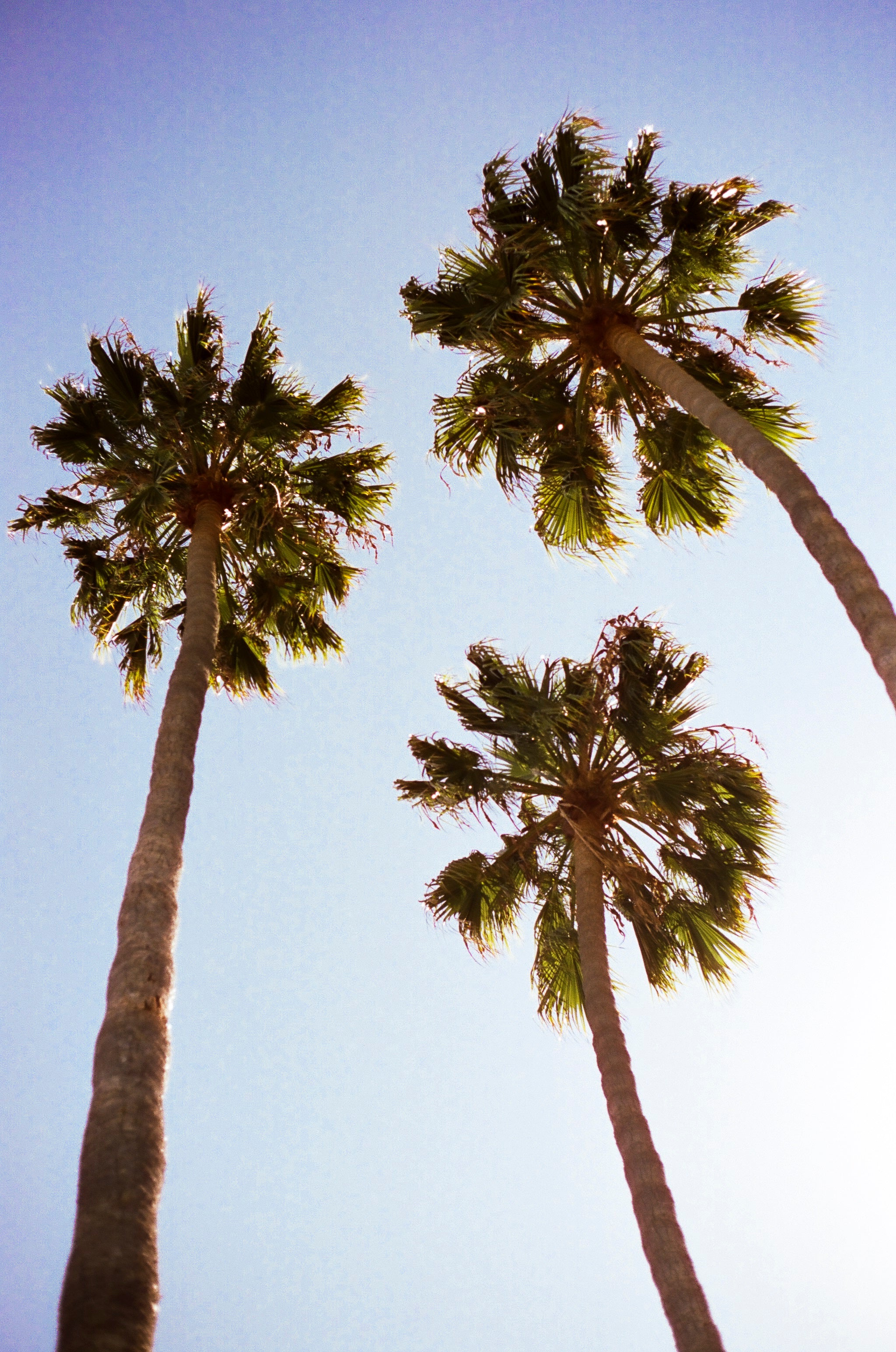 Photos By Nick Hanson