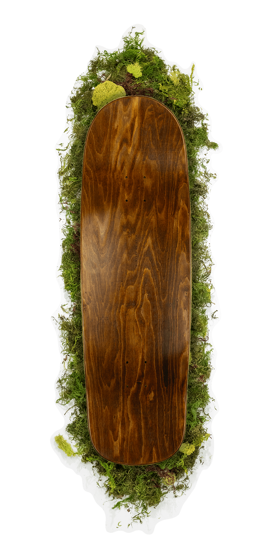 Sapient G Deck