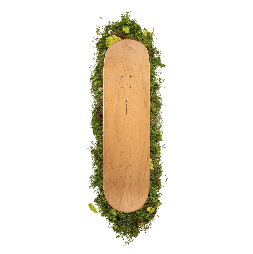 Sapient P825 Deck