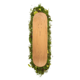 Sapient P800 Deck