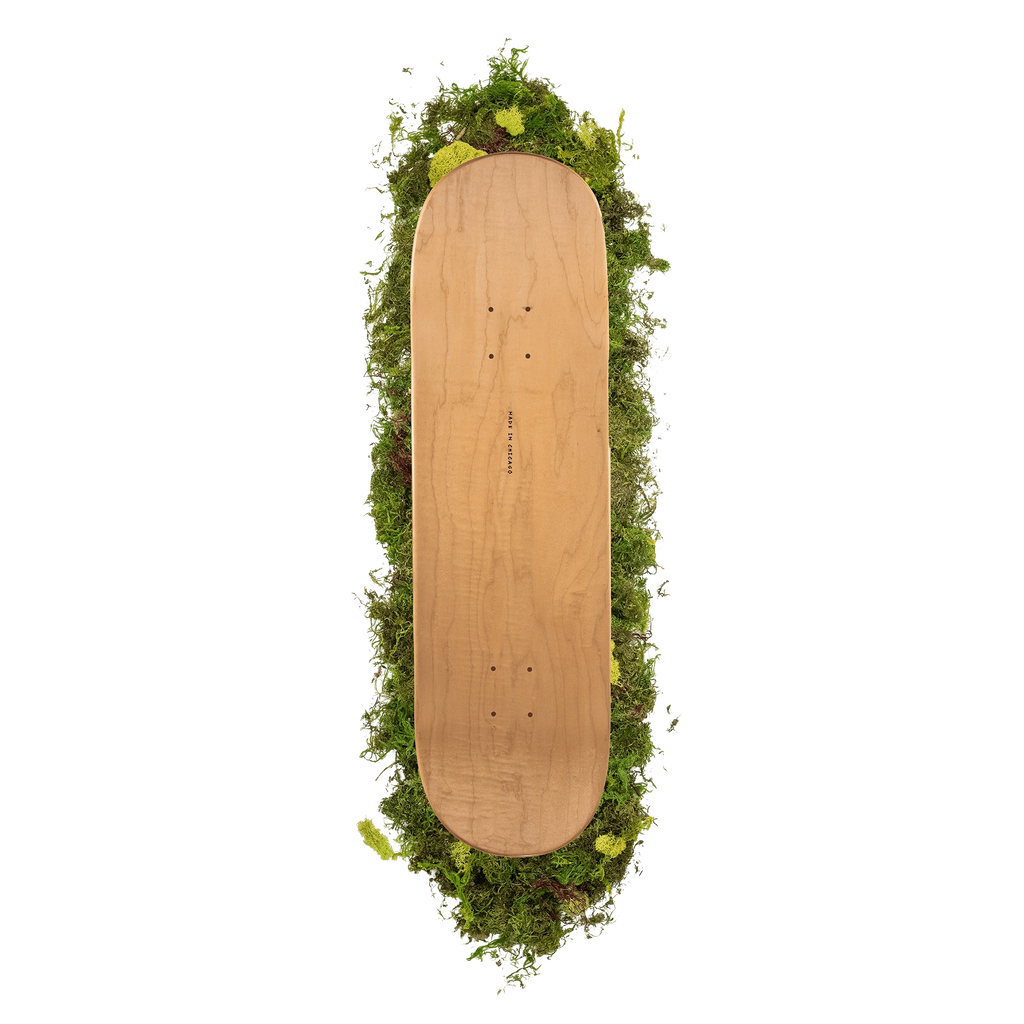 Sapient P875 Deck