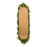 Sapient P875 Deck