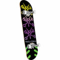 Powell Peralta Vato Rats Purple Fade Complete