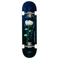April Dashawn Jordan Cracked Rose Complete